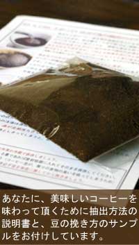 抽出方法の説明書とサンプル