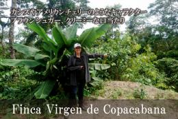 ボリビア　コパカバーナ農園
